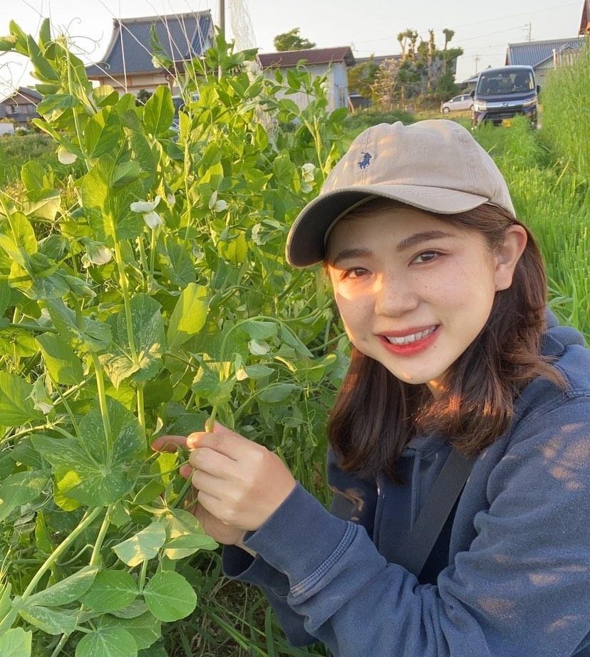 愛知県オーガニック野菜農家