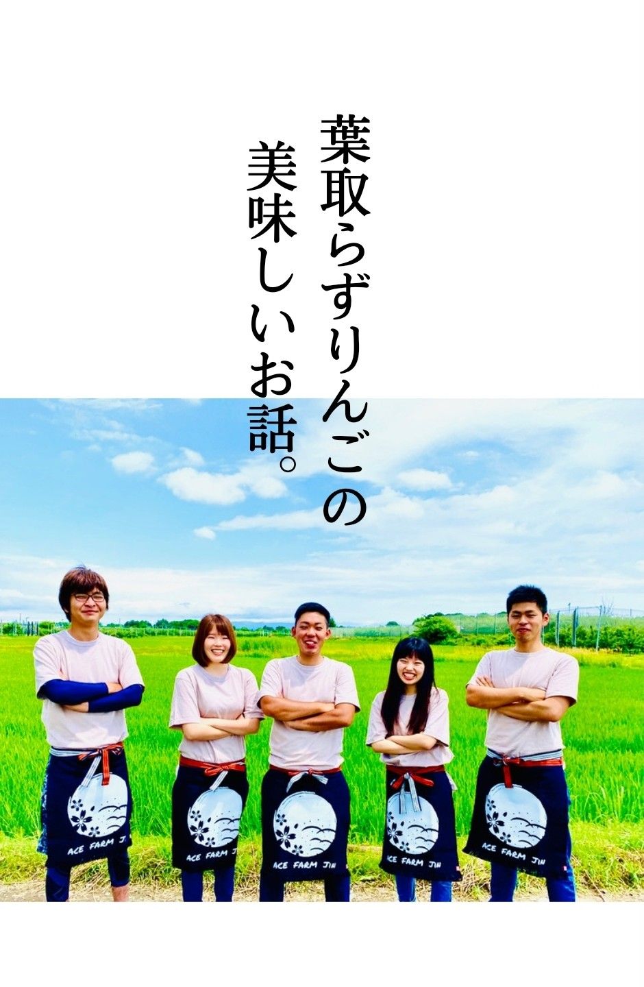 青森りんご農園の人気種類と保存方法説明。美味しい葉とらずふじりんごとは。