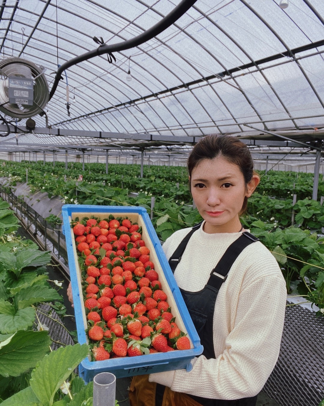 平川いちご農園